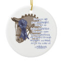 All For The Ribbon ornaments
