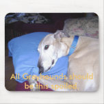 All Greyhounds should be this spoiled. mousepads
