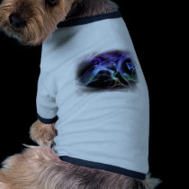 all hallows eve pet clothing