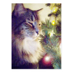 All In Lights Postcards