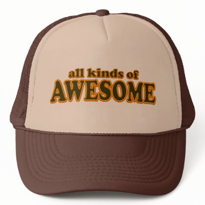 All Kinds Of Awesome Hat by TheBigTees