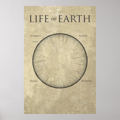 All Life on Earth, mapped out on one giant poster by strk3