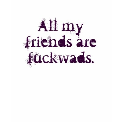 All my friends are fuckwads. t shirt by DivinePK