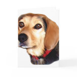 all occasion note cards