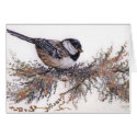 all occasion/sparrow cards