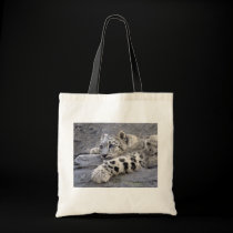 All Played Out Bag