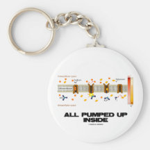 All Pumped Up Inside (Sodium-Potassium Pump) Key Chain