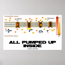 All Pumped Up Inside (Sodium-Potassium Pump) Print