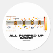 All Pumped Up Inside (Sodium-Potassium Pump) Stickers