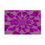 All purple burst pattern of a single repeated rose post card
