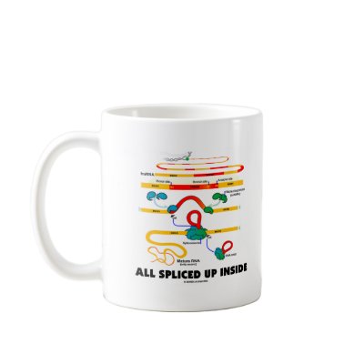 All Spliced Up Inside (RNA Splicing) Mugs by wordsunwords