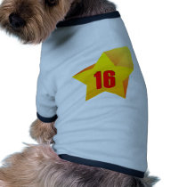 All Star Sixteen years old! Birthday Dog Clothes