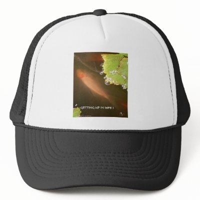 ALL THE LITTLE FISHIES MESH HAT by LOOSIELUCY