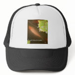 ALL THE LITTLE FISHIES hats