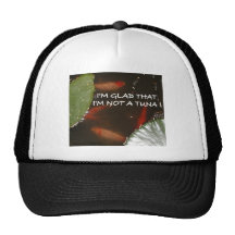 ALL THE LITTLE FISHIES MESH HAT