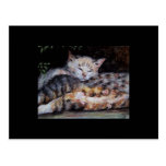 All Tuckered Out (cat) ACEO Art Trading Card Post Cards