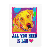 All U Need Is Lab