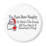 All You Get Is Snowmans Poop