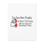 All You Get Is Snowmans Poop