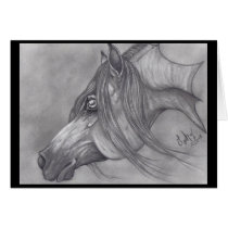 Allah's Grace Arabian Horse
