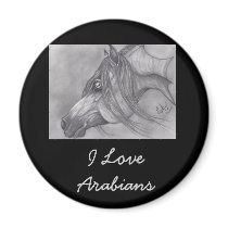 Allah's Grace Arabian Horse