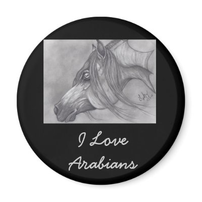Allah's Grace Arabian Horse by MidnightDreamer