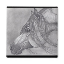 Allah's Grace Arabian Horse