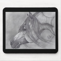 Allah's Grace Arabian Horse
