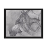 Allah's Grace Arabian Horse