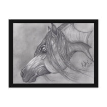 Allah's Grace Arabian Horse