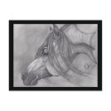 Allah's Grace Arabian Horse postcards