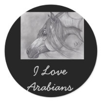 Allah's Grace Arabian Horse