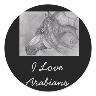 Allah's Grace Arabian Horse by MidnightDreamer
