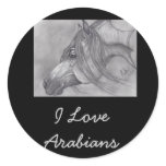 Allah's Grace Arabian Horse stickers