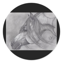 Allah's Grace Arabian Horse