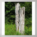Alleghany State Park posters