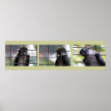 Allen's Swamp Monkey Photo Print