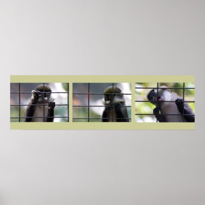 Allen's Swamp Monkey Photo Print by RossiCards