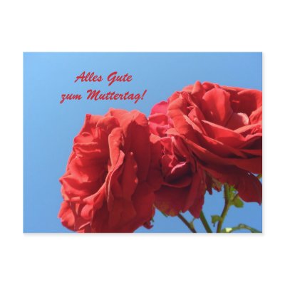 Alles Gute zum Muttertagmit rosa rosen Post Card by Rainmountain
