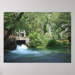 Alley Springs Poster