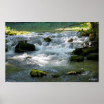 Alley Springs  posters