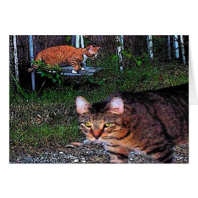 ALLEYCATS CARDS by Chriscat