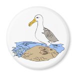Allie Albatross Magnets