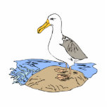 Allie Albatross Acrylic Cut Out
