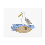 Allie Albatross Postcard
