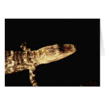 Alligator #1 greeting card