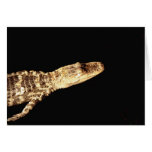 Alligator #2 card
