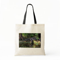 Alligator afternoon, Everglades, Florida Canvas Bags