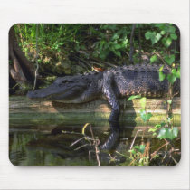 Alligator afternoon, Everglades, Florida Mousepad