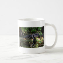 Alligator afternoon, Everglades, Florida Coffee Mugs